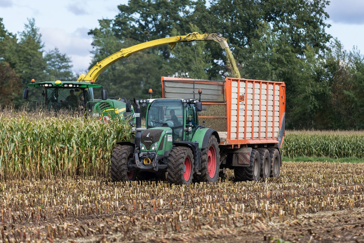 Bild 130 - Maisernte